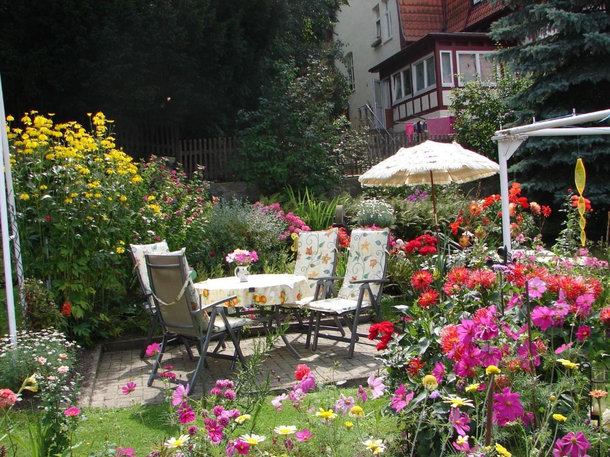 Apartmán Abendroete Wernigerode Exteriér fotografie